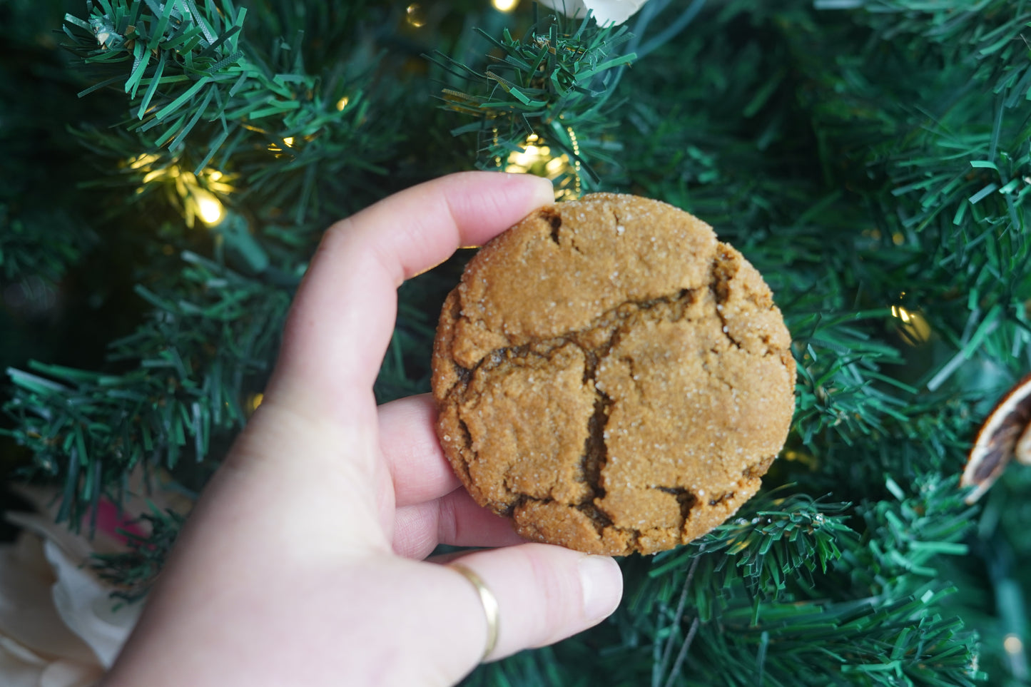 Ginger Molasses Cookies