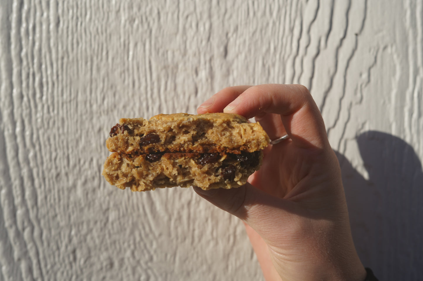 Vegan Oatmeal Raisin Cookies