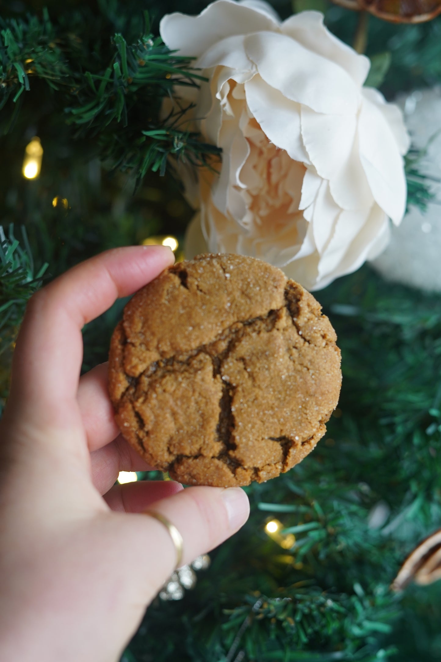 Ginger Molasses Cookies